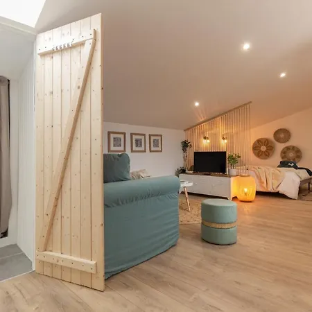 Appartement Le Boheme - Netflix - Wifi - Vue Sur La Cite Medievale Et Les Toits Carcassonne